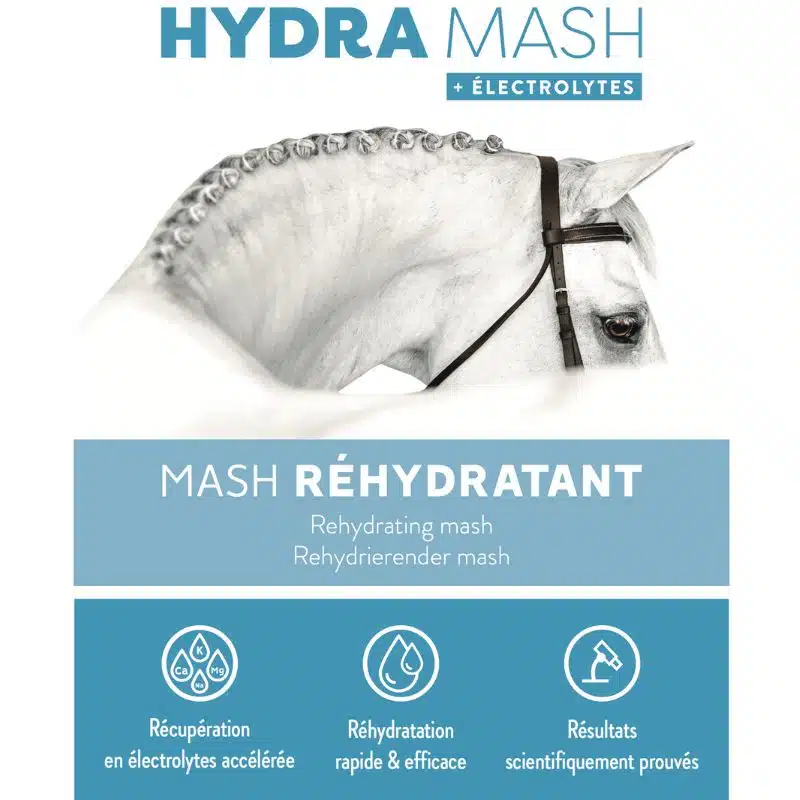 HYDRA MASH avec électrolytes LAMBEY Mash réhydratant pour la récupération après l'effort Sellerie Equinoxe Shop