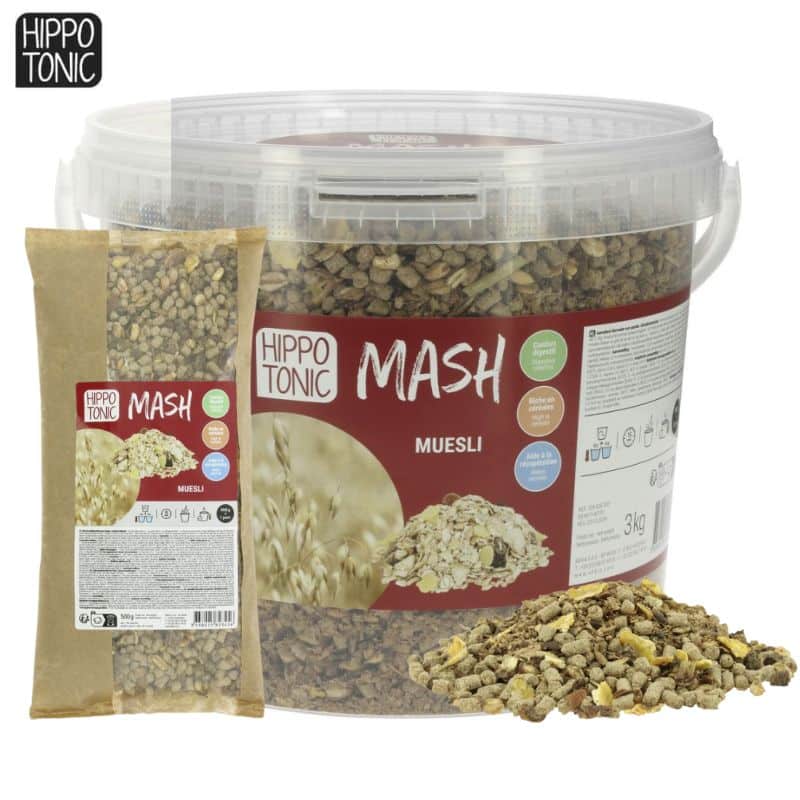 Mash Muesli HIPPOTONIC Sellerie Equinoxe Shop