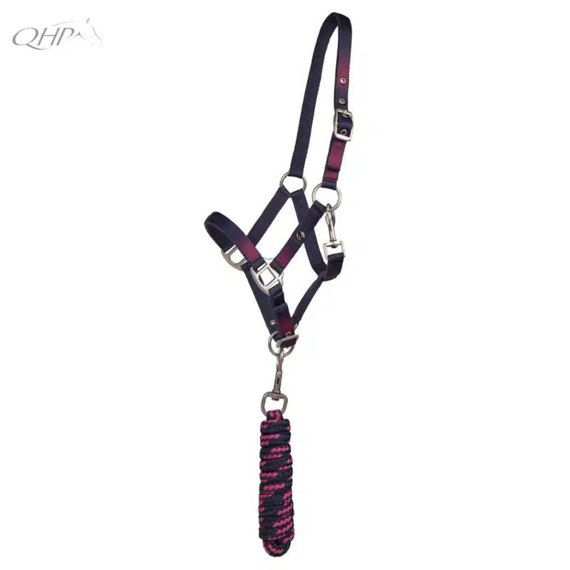 Set licol et longe Jaily Poney et ShetlandQHP SS25 Sellerie Equinoxe Shop Fuveau