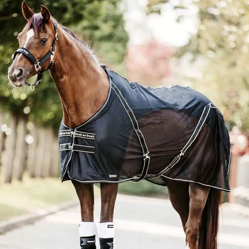 chemise de récupération filet Sienna BACK ON TRACK Sellerie Equinoxe Shop fuveau