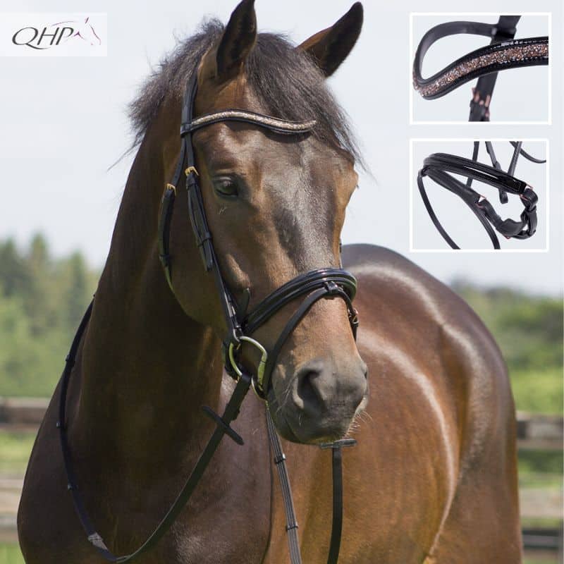 Bridon Amor noir vernis rose QHP Sellerie Equinoxe Shop Fuveau