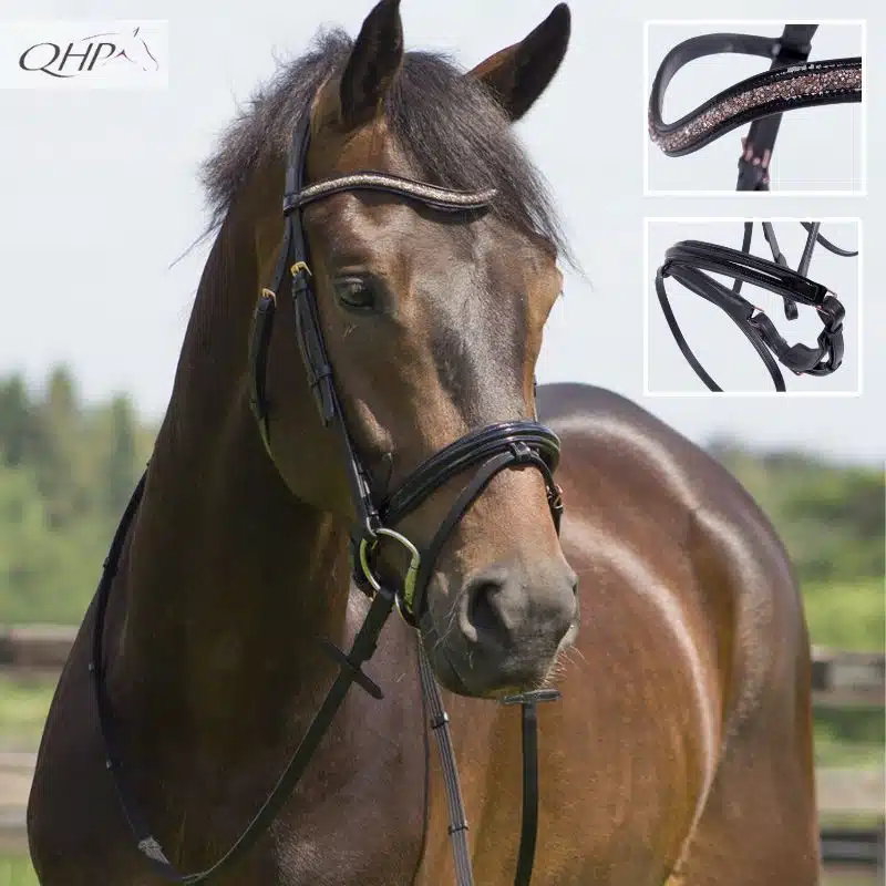 Bridon Amor noir vernis rose QHP Sellerie Equinoxe Shop Fuveau