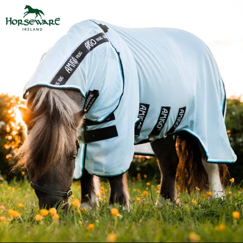 Chemise anti-mouches Shetland AMIGO PETITE BUG RUG AZURE BLUE BLACK WHITE & BLUE Horseware Sellerie Equinoxe Shop