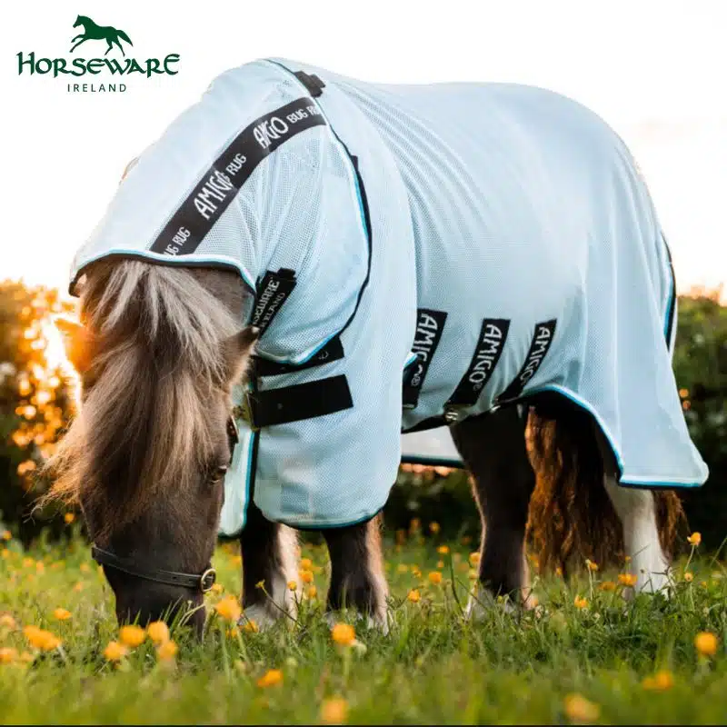 Chemise anti-mouches Shetland AMIGO PETITE BUG RUG AZURE BLUE BLACK WHITE & BLUE Horseware Sellerie Equinoxe Shop