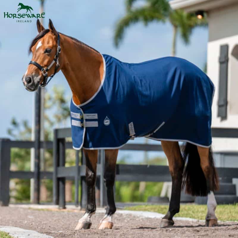Chemise de box coton AMIGO STABLE SHEET HORSEWARE AMIGO HWADRF22 cheval poney écurie Sellerie Equinoxe Shop
