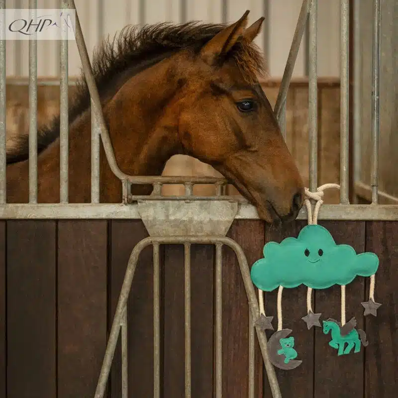Jouets pour chevaux Novy GREEN QHP Sellerie Equinoxe Shop Fuveau