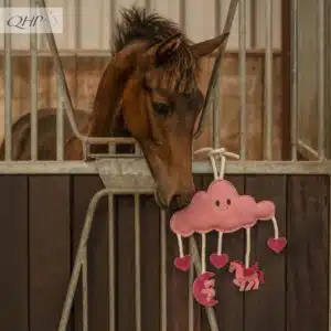 Jouets pour chevaux Novy PINK QHP Sellerie Equinoxe Shop Fuveau
