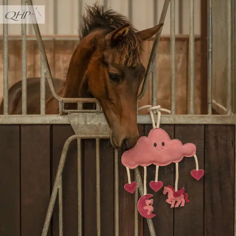 Jouets pour chevaux Novy PINK QHP Sellerie Equinoxe Shop Fuveau
