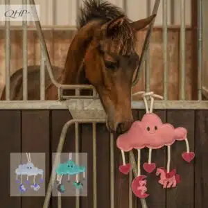 Jouets pour chevaux Novy nuage QHP Sellerie Equinoxe Shop Fuveau