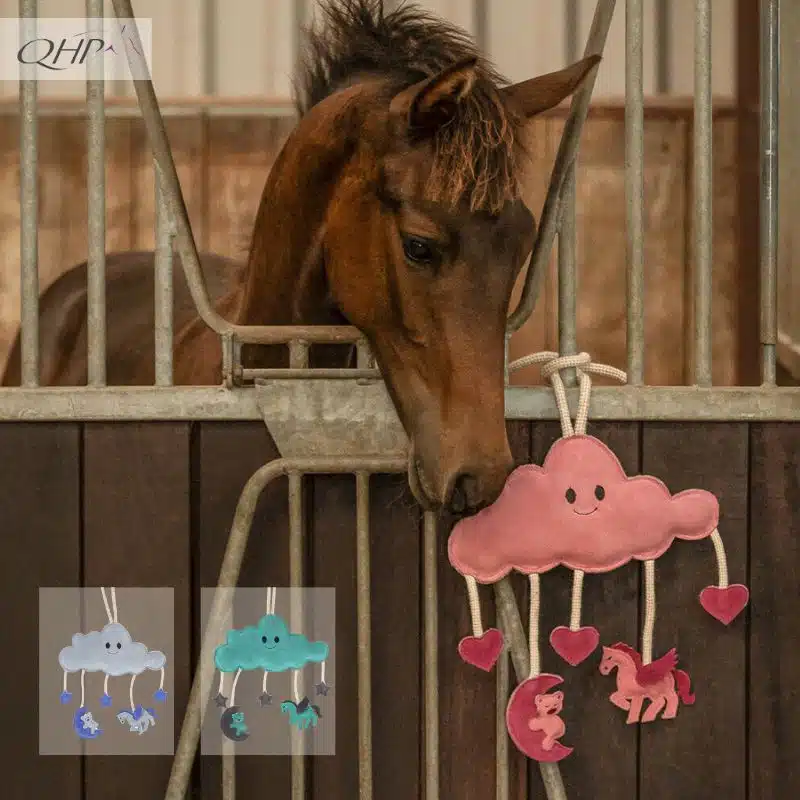 Jouets pour chevaux Novy nuage QHP Sellerie Equinoxe Shop Fuveau
