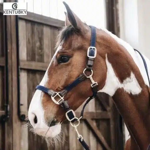 Licol Plaited Nylon bleu marine Kentucky Horsewear Sellerie Equinoxe-Shop Fuveau