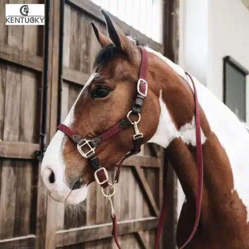 Licol Plaited Nylon bordeaux Kentucky Horsewear Sellerie Equinoxe-Shop Fuveau