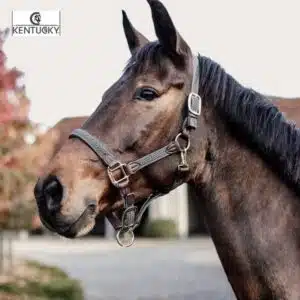 Licol Plaited Nylon gris Kentucky Horsewear Sellerie Equinoxe-Shop Fuveau