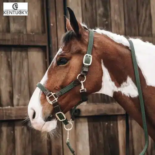 Licol Plaited Nylon vert olive Kentucky Horsewear Sellerie Equinoxe-Shop Fuveau