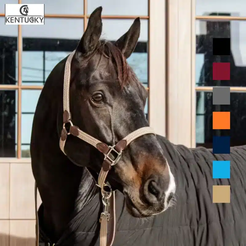 Licol Rope basic marine Kentucky Horsewear Sellerie Equinoxe-Shop Fuveau