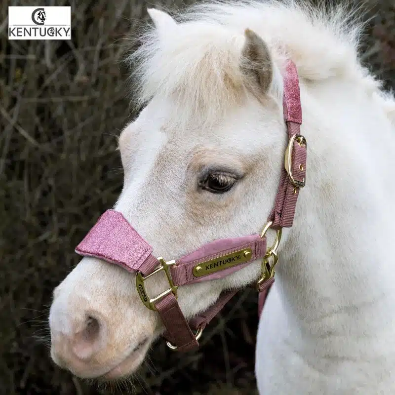 Licol Velvet Unicorn Glitter Poney Kentucky Horsewear Sellerie Equinoxe-Shop Fuveau Kentucky Horsewear Sellerie Equinoxe-Shop Fuveau