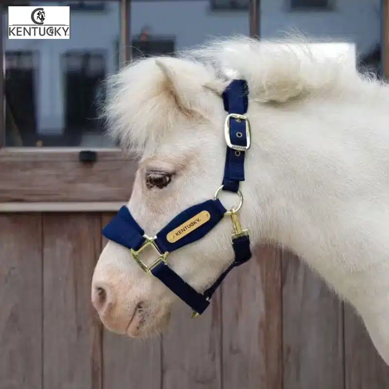 Licol velvet marine shetland Kentucky Horsewear Sellerie Equinoxe-Shop Fuveau