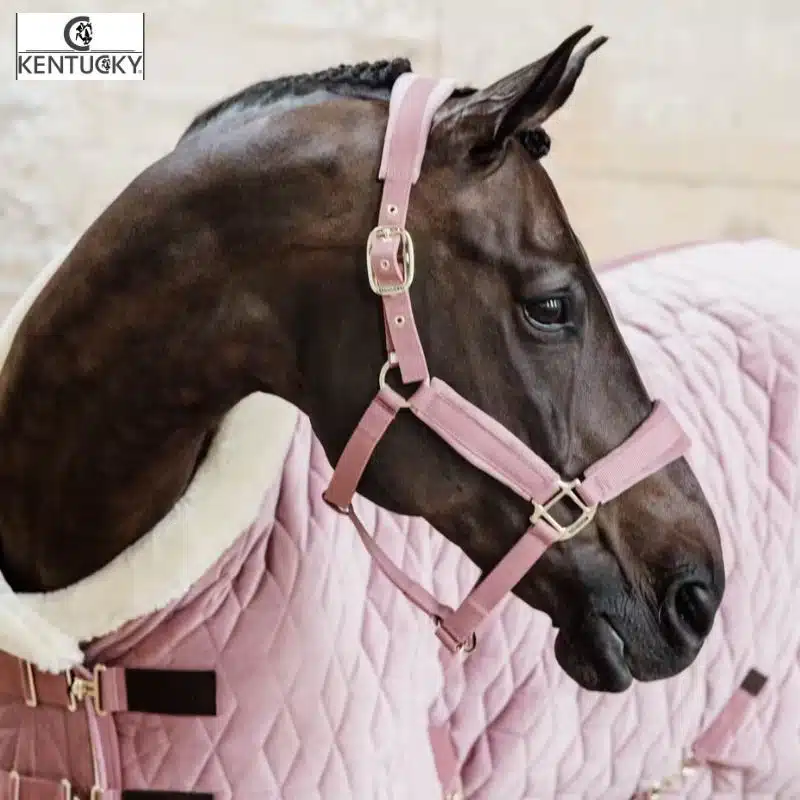 Licol velvet rose Kentucky Horsewear Sellerie Equinoxe-Shop Fuveau