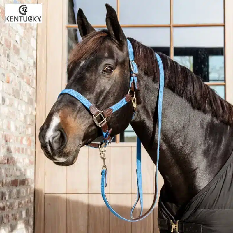 Longe de Licol Plaited Nylon bleu ciel Kentucky Horsewear Sellerie Equinoxe-Shop Fuveau