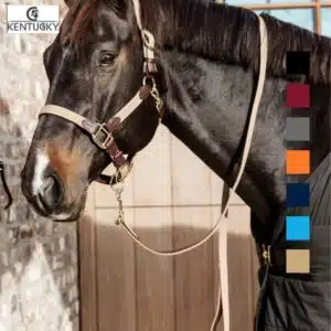 Longe de licol Rope basic marine Kentucky Horsewear Sellerie Equinoxe-Shop Fuveau