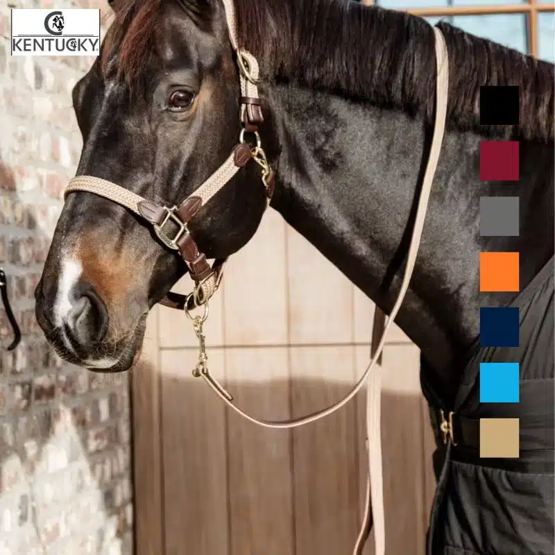 Longe de licol Rope basic marine Kentucky Horsewear Sellerie Equinoxe-Shop Fuveau