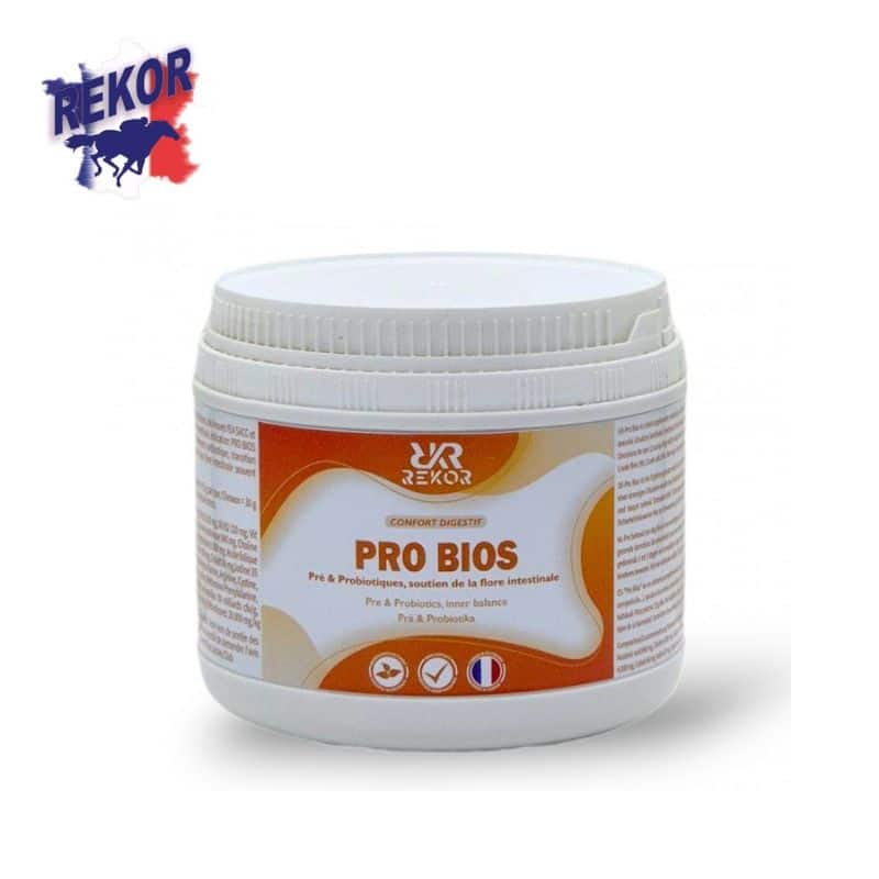 PRO BIOS REKOR probiotiques et prébiotiques pour chevaux Sellerie Equinoxe Shop Fuveau