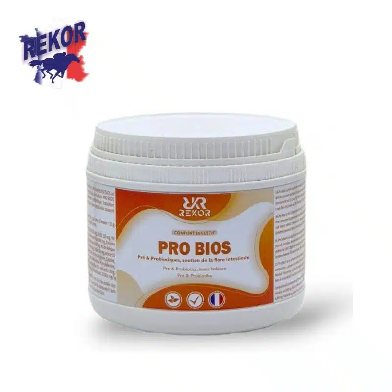 PRO BIOS REKOR probiotiques et prébiotiques pour chevaux Sellerie Equinoxe Shop Fuveau