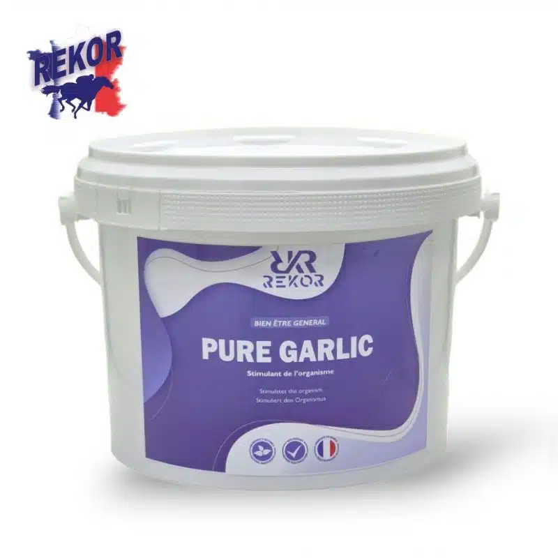 PURE GARLIC AIL SEMOULE REKOR pour chevaux Sellerie Equinoxe Shop Fuveau