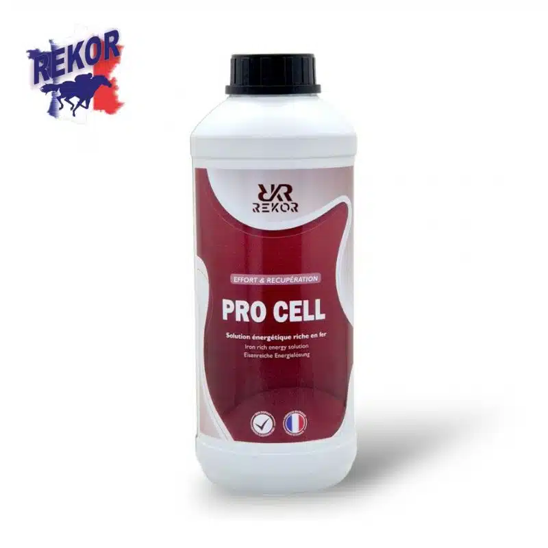 Pro Cell Rekor source énergétique riche en fer Sellerie Equinoxe Shop Fuveau