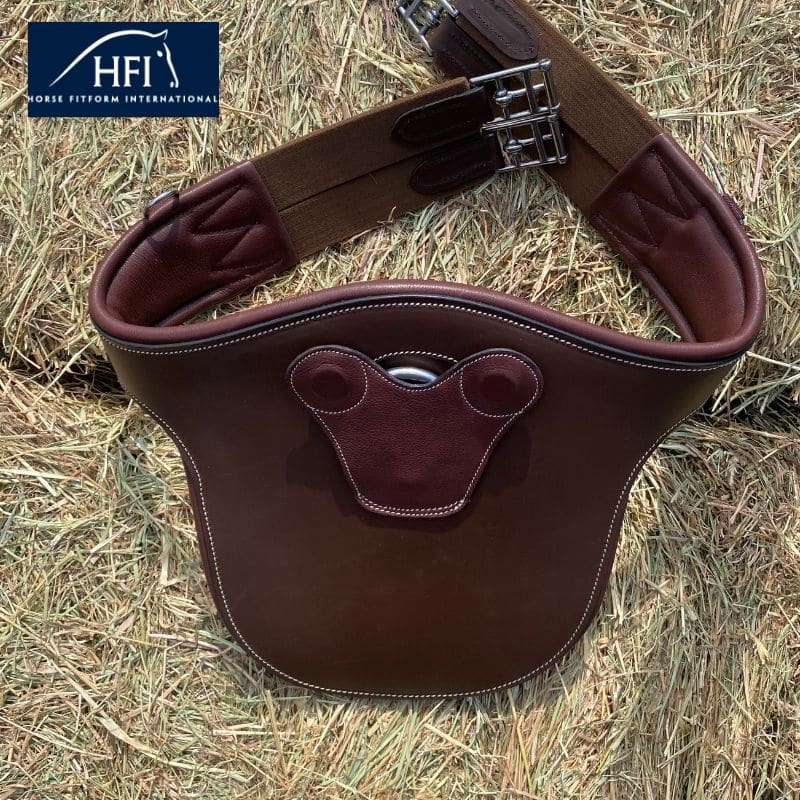 Harnais pour Chien Grande Taille Réfléchissant DAYTONA DELUXE EXTRA LARGE, Rembourré, Marron-Noir