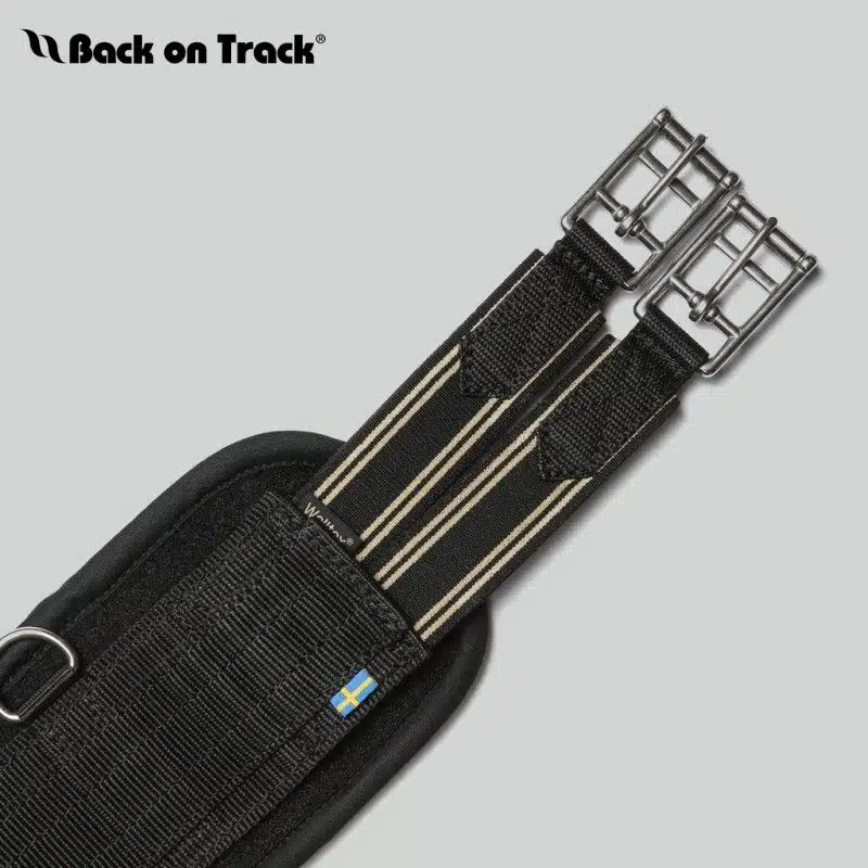 Sangle mixte Berga BACK ON TRACK Sellerie Equinoxe Shop fuveau Sangle mixte Berga BACK ON TRACK Sellerie Equinoxe Shop fuveau