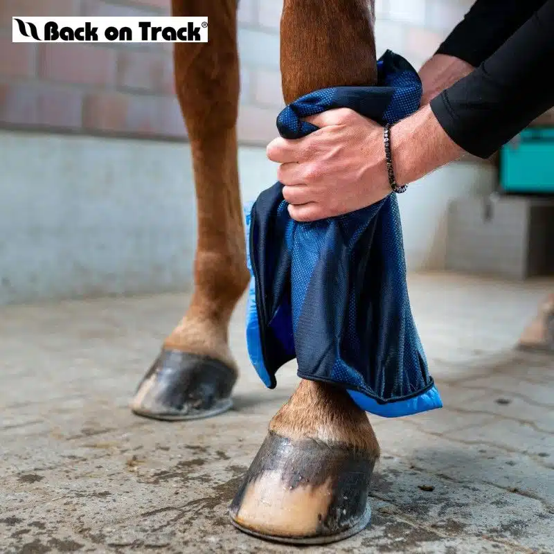 Serviette rafraîchissante Back on Track® Cool on Track petit modèle Sellerie Equinoxe Shop fuveau