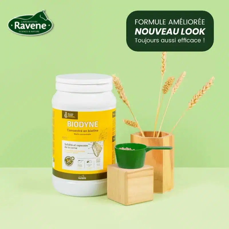 Biodyne Biotine Ravene complément biotine pour renforcer les sabots du cheval