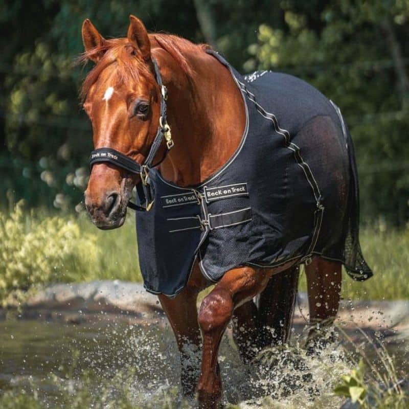 chemise filet Sienna BACK ON TRACK Sellerie Equinoxe Shop fuveau