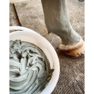 ASTRINJAMBES Argile cheval enrichie en huiles essentielles Récupération et engorgement tendons ESC LABORATOIRE Sellerie Equinoxe Fuveau