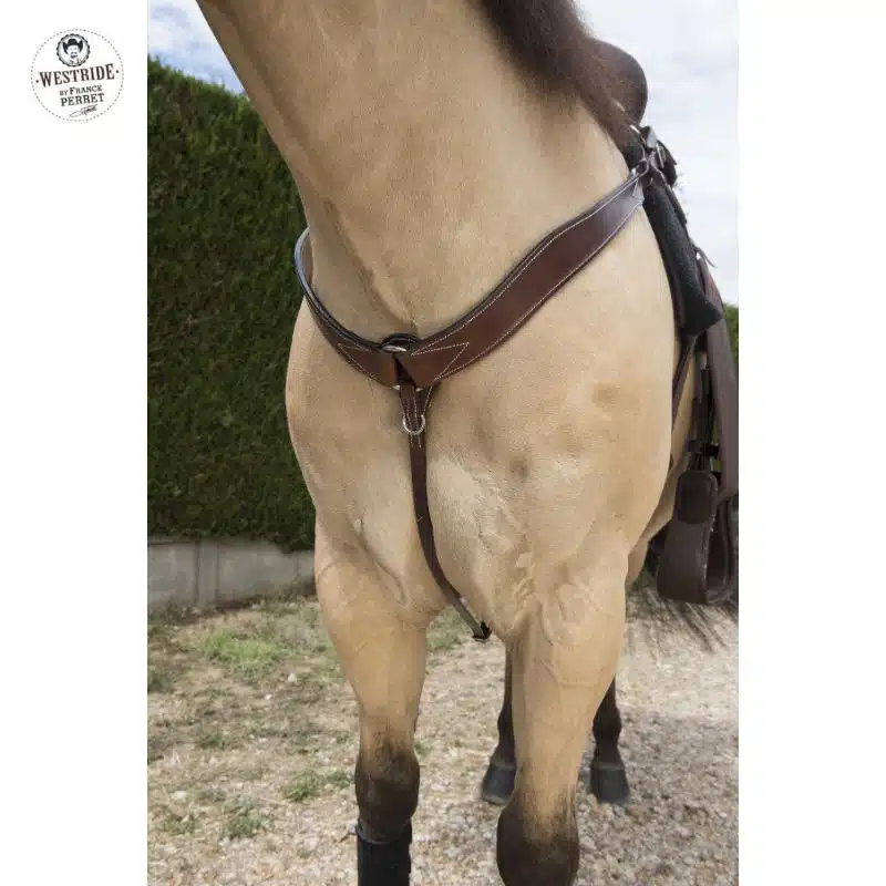 Collier de chasse western surpiqué havane WESTRIDE by Franck Perret Sellerie Equinoxe Shop Fuveau