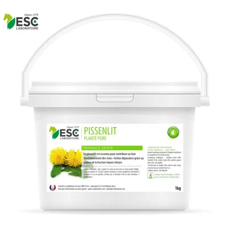 PISSENLIT plante pure Action dépurative et détox cheval Sellerie Equinoxe Shop Fuveau