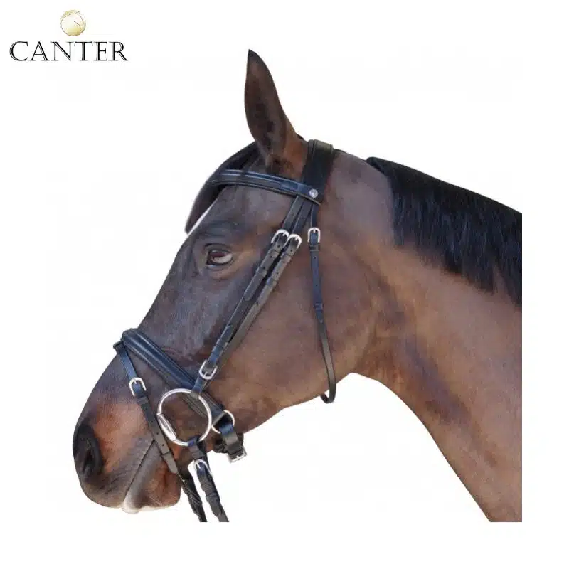 Bridon Euro muserolle Pull Back CANTER Sellerie Equinoxe Shop Fuveau