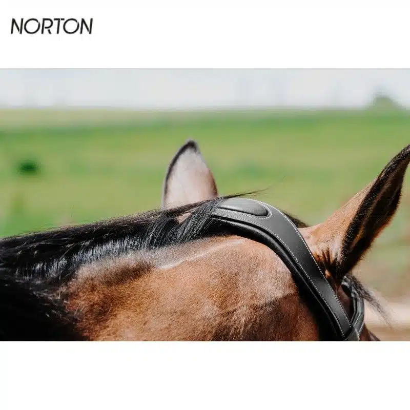 Bridon anatomique freedom cheval NORTON Sellerie Equinoxe Shop
