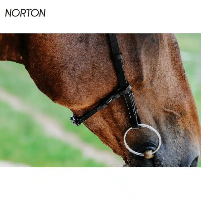 Bridon freedom sans muserolle avec sous barbe cheval NORTON Sellerie Equinoxe Shop