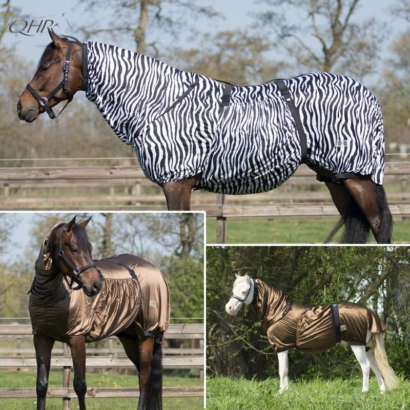 chemise anti eczéma QHP 6060 Sellerie Equinoxe Shop Fuveau