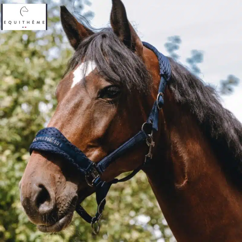 Licol nylon 3D mesh marine EQUITHÈME Sellerie Equinoxe Shop Fuveau