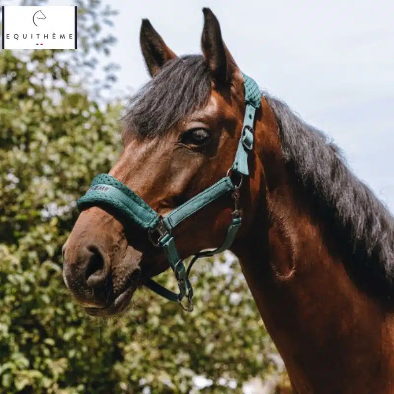 Licol nylon 3D mesh vert EQUITHÈME Sellerie Equinoxe Shop Fuveau
