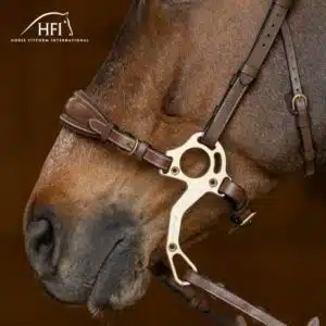 Muserolle avec gourmette cuir havane HFI by Sellerie Equinoxe Shop Fuveau