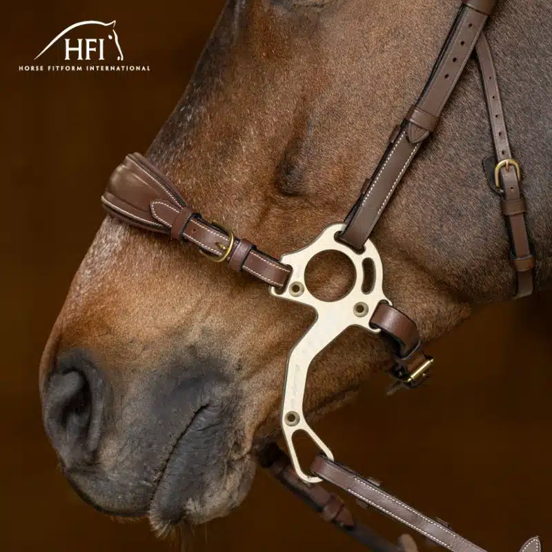 Muserolle avec gourmette cuir havane HFI by Sellerie Equinoxe Shop Fuveau