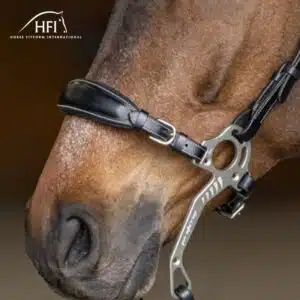 Muserolle avec gourmette cuir noir HFI by Sellerie Equinoxe Shop Fuveau