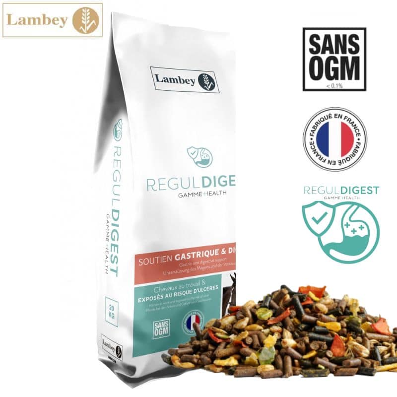 REGUL DIGEST LAMBEY granulés pour chevaux risques d ulcères sac de 20 kg Sellerie Equinoxe Shop Fuveau