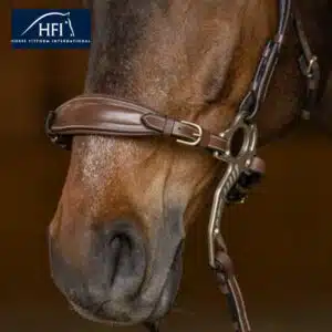 Set Muserolle avec gourmette cuir havane HFI by Sellerie Equinoxe Shop Fuveau