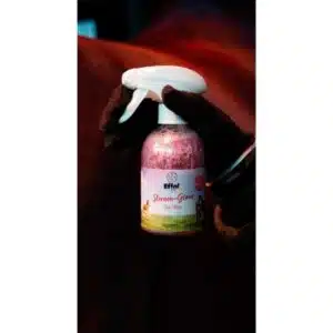 Spray Effol Kids Star-Shine argenté pour cheval Spray Effol Kids Star-Shine argenté pailleté pour décorer la robe, la crinière et la queue du cheval