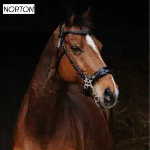 Bridon complet avec hackamore NORTON PRO 301899 Sellerie Equinoxe Shop Fuveau Bridon complet avec hackamore NORTON PRO 301899 Sellerie Equinoxe Shop Fuveau